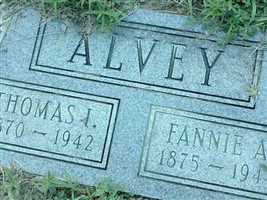 Thomas Ignatius Alvey