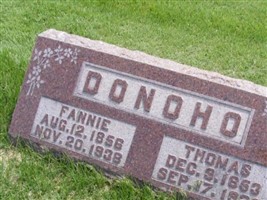 Thomas J Donoho