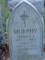 Thomas J Murphy