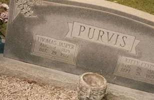 Thomas Jasper Purvis