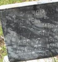 Thomas Jewell Bray Thomas Jewell Bray