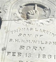Thomas Larkin Wilson