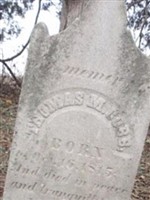 Thomas M. Cobb