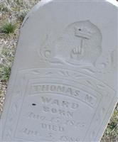 Thomas M Ward