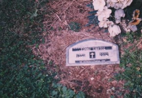 Thomas Milford Cartee