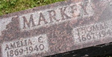 Thomas N Markey Thomas N Markey