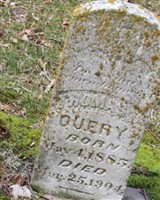 Thomas N Query