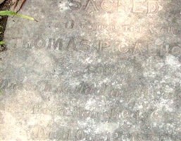 Thomas P Calhoun