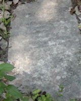 Thomas P Calhoun