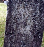 Thomas P Riggs