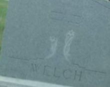 Thomas P. Welch