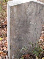 Thomas P Zachary