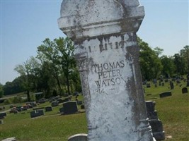 Thomas Peter Watson Thomas Peter Watson