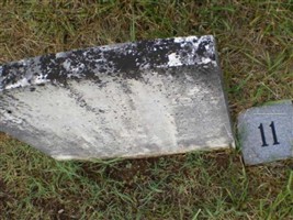 Thomas S Whiteside Thomas S Whiteside