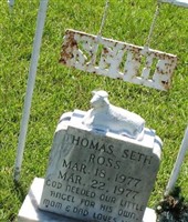 Thomas Seth Ross Thomas Seth Ross