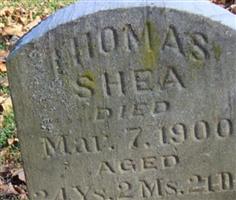 Thomas Shea