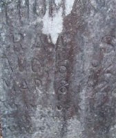Thomas Vinson Rawls