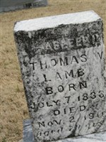 Thomas W Lamb