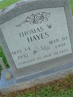 Thomas Willard Hayes