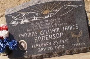 Thomas William James Anderson