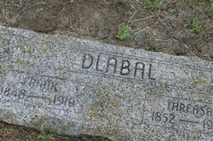 Threasa Dlabal (2074422.jpg)