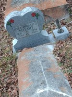 Tiara Antoinette Bellamy