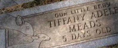 Tiffany Adele Meads Tiffany Adele Meads