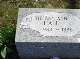 Tiffany Ann Hall Tiffany Ann Hall