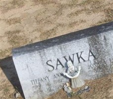 Tiffany Ann Sawka Tiffany Ann Sawka
