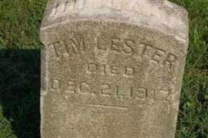 Tim Lester Tim Lester