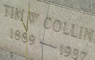 Tim W Collins Tim W Collins