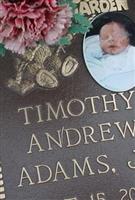 Timothy Andrew Adams, Jr