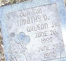 Timothy D. Wilson, Jr