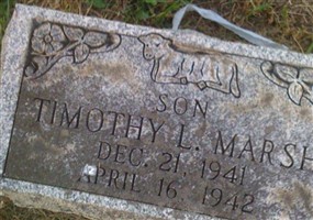 Timothy L. Marsh Timothy L. Marsh