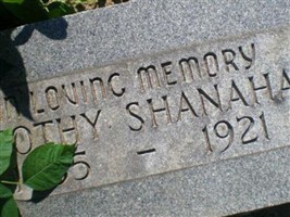 Timothy Shanahan