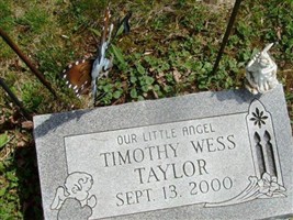 Timothy Weis Taylor Timothy Weis Taylor
