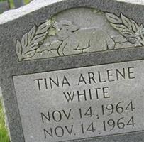 Tina Arlene White