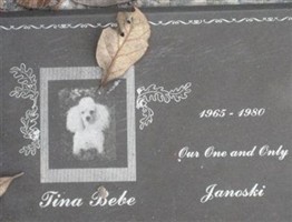 Tina Bebe Janoski Tina Bebe Janoski