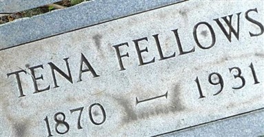 Tina Fellows