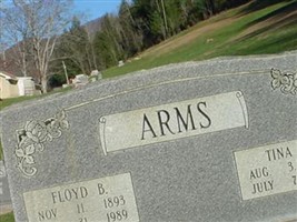 Tina G. Arms