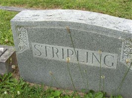 Tina Trosper Stripling Tina Trosper Stripling