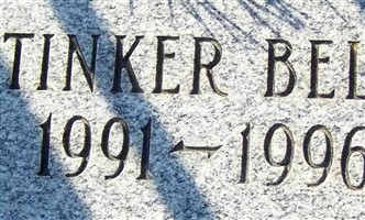 Tinker Bell Tinker Bell
