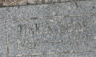 Tinker Belle Tinker Belle