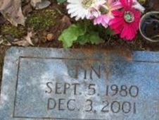 "Tiny