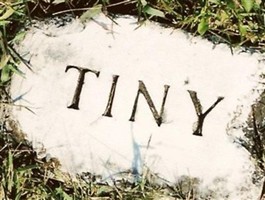 Tiny Hill