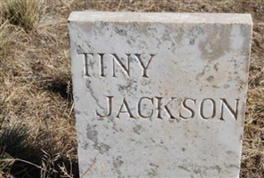 Tiny Jackson Tiny Jackson