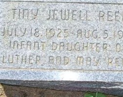 Tiny Jewell Reel