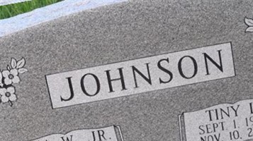 Tiny L Johnson Tiny L Johnson