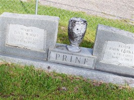 Tiny Moore Prine