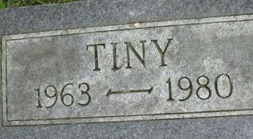 Tiny Timmons Tiny Timmons